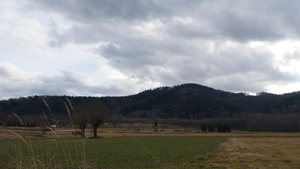 Roczyny. Granica z Czańcem (ul. Graniczna)