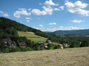 ul. Podgórska w Zagórniku. fot. D. Rusin